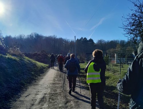 Marche nordique sur le territoire du Lude